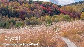  Presentation with fall foliage - Slide set featuring autumn-fall-foliage-mountain background and a coral colored foreground