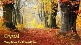  Presentation with fall leaves border autumn - Cool new presentation theme with autumn fall forest natural path backdrop and a tawny brown colored foreground