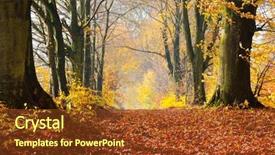  Presentation with fall leaves - Colorful slides enhanced with autumn fall forest natural path backdrop and a tawny brown colored foreground