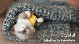  Presentation with kitten - Cool new PPT theme with autumn-fall-kitten-sleep backdrop and a gray colored foreground
