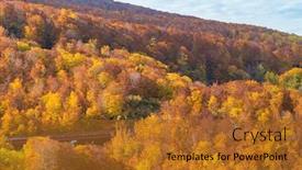  Presentation with forest bridge - PPT theme having autumn-fall-landscape-of-forest background and a gold colored foreground