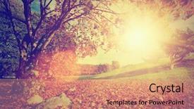  Presentation with fall leaves - PPT layouts with autumn fall landscape background and a coral colored foreground