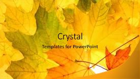  Presentation with fall leaves - Cool new PPT theme with autumn fall leaves backdrop and a  colored foreground