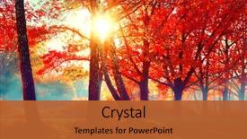  Presentation with foggy - Audience pleasing PPT theme consisting of autumn fall scene beautiful autumnal backdrop and a red colored foreground