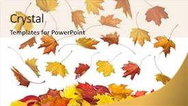  Presentation with falling leaves - Cool new presentation with autumn falling leaves isolated backdrop and a lemonade colored foreground