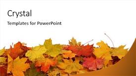  Presentation with autumn leaves falling - Beautiful PPT layouts featuring autumn falling leaves isolated backdrop and a white colored foreground