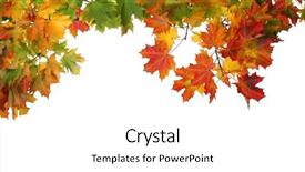  Presentation with leaves falling - Slide set featuring autumn falling leaves isolated background and a white colored foreground