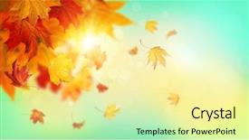  Presentation with autumn leaves falling - Beautiful slides featuring autumn falling leaves on colorful backdrop and a  colored foreground