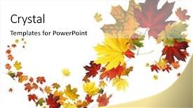  Presentation with autumn leaves falling - Theme having autumn falling leaves on white background and a white colored foreground
