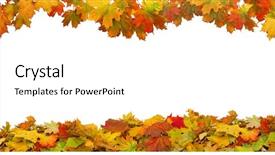  Presentation with maple - Cool new presentation design with autumn falling maple leaves isolated backdrop and a white colored foreground