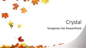  Presentation with falling leaves - Cool new PPT theme with autumn falling maple leaves isolated backdrop and a white colored foreground