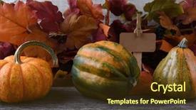  Presentation with produce stand - Audience pleasing presentation theme consisting of autumn farm stand with gourds backdrop and a tawny brown colored foreground