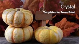  Presentation with chicken poultry farm white layer - Presentation featuring autumn farm stand with three background and a tawny brown colored foreground