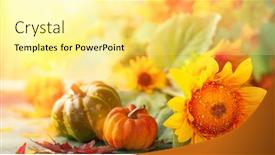 Presentation with halloween pumpkins thanksgiving day - Colorful presentation enhanced with autumn-festive-background-with-sunflowers backdrop and a blonde colored foreground
