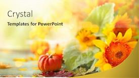  Presentation with halloween pumpkins thanksgiving day - Slides consisting of autumn-festive-background-with-sunflowers background and a blonde colored foreground
