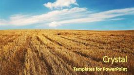  Presentation with autumn - Amazing theme having autumn fields backdrop and a tawny brown colored foreground