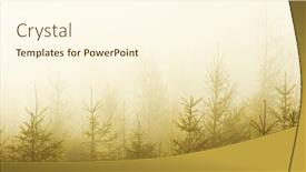  Presentation with forest - Colorful theme enhanced with autumn-fir-forest-in-sunset backdrop and a cream colored foreground