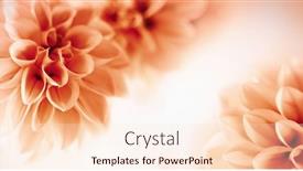  Presentation with floral - PPT theme with autumn-floral-composition-made background and a lemonade colored foreground