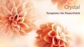  Presentation with floral - Slide deck with autumn-floral-composition-made background and a lemonade colored foreground