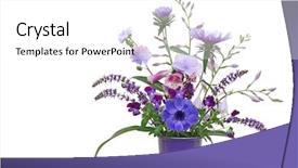  Presentation with purple flowers - Theme featuring autumn flowers hosta aster background and a white colored foreground
