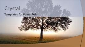  Presentation with autumn morning - Slide deck with autumn foggy morning on field background and a light blue colored foreground