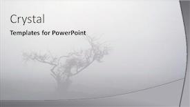  Presentation with autumn morning - Colorful theme enhanced with autumn foggy morning backdrop and a white colored foreground