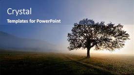  Presentation with autumn morning - Theme featuring autumn foggy morning background and a ocean colored foreground