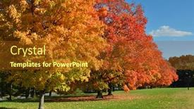  Presentation with states - Amazing PPT theme having autumn foliage in arlington circa washington dc united states backdrop and a tawny brown colored foreground