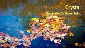  Presentation with water pollution polluted lake - Presentation design enhanced with autumn foliage on lake water background and a tawny brown colored foreground