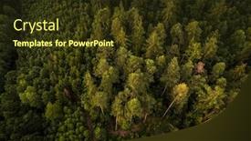  Presentation with autumn view autumn nature - PPT theme enhanced with autumn-forest-aerial-view-lush background and a tawny brown colored foreground