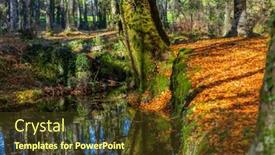  Presentation with forest - Presentation enhanced with autumn-forest-at-mata-da background and a tawny brown colored foreground