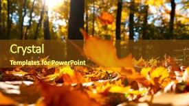  Presentation with weather - Colorful PPT layouts enhanced with autumn forest at sun backdrop and a tawny brown colored foreground