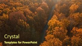  Presentation with forest road - Cool new slide deck with autumn-forest-drone-aerial-shot backdrop and a wine colored foreground