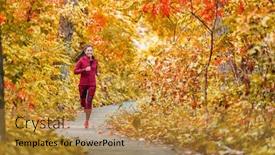  Presentation with woods - Amazing slide deck having autumn-forest-run-path-fall backdrop and a gold colored foreground