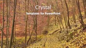  Presentation with trail - Presentation design with autumn-forest-trail-path background and a coral colored foreground