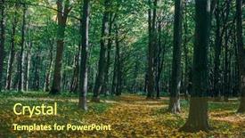  Presentation with autumn wood - Cool new PPT theme with autumn forest trees nature gold backdrop and a tawny brown colored foreground