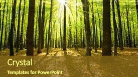  Presentation with autumn - Beautiful PPT theme featuring autumn forest trees nature green backdrop and a tawny brown colored foreground