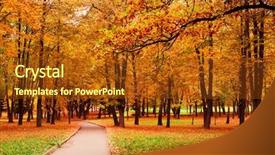  Presentation with autumn wood - Theme with autumn forest trees nature green background and a tawny brown colored foreground