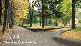  Presentation with autumn wood - 