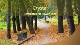  Presentation with autumn wood - Beautiful PPT layouts featuring autumn forest trees nature green wood sunlight backgrounds backdrop and a tawny brown colored foreground