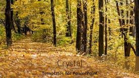  Presentation with autumn wood - PPT theme with autumn forest trees nature green wood sunlight backgrounds background and a gold colored foreground