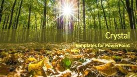  Presentation with autumn wood - Audience pleasing PPT theme consisting of autumn forest trees nature green backdrop and a  colored foreground