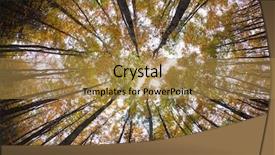  Presentation with lens - Colorful PPT layouts enhanced with autumn forest treetops intentionally distorted image shot with a fisheye lens backdrop and a gold colored foreground