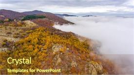  Presentation with yellow green - Colorful slide set enhanced with autumn forest with green yellow backdrop and a tawny brown colored foreground