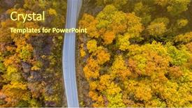  Presentation with yellow green - Presentation design consisting of autumn forest with green yellow background and a tawny brown colored foreground