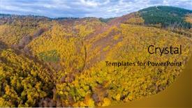  Presentation with yellow green - Slide set with autumn forest with green yellow background and a  colored foreground