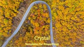  Presentation with abstract green forest - Audience pleasing slide deck consisting of autumn forest with green yellow backdrop and a tawny brown colored foreground