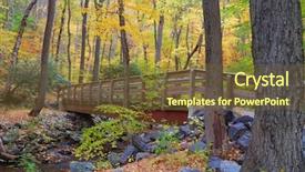  Presentation with forest bridge - Beautiful PPT theme featuring autumn forest with wood bridge over creek in yellow maple forest with trees and colorful foliage backdrop and a tawny brown colored foreground