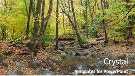  Presentation with wood bridge - Colorful theme enhanced with autumn forest with wood bridge panorama over creek in yellow maple forest with trees and colorful foliage backdrop and a tawny brown colored foreground