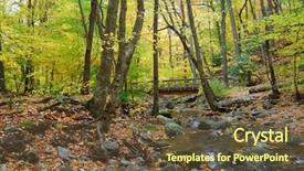  Presentation with wood bridge - Colorful slide deck enhanced with autumn forest with wood bridge backdrop and a tawny brown colored foreground